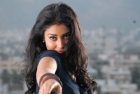 Shriya Beautiful Photos